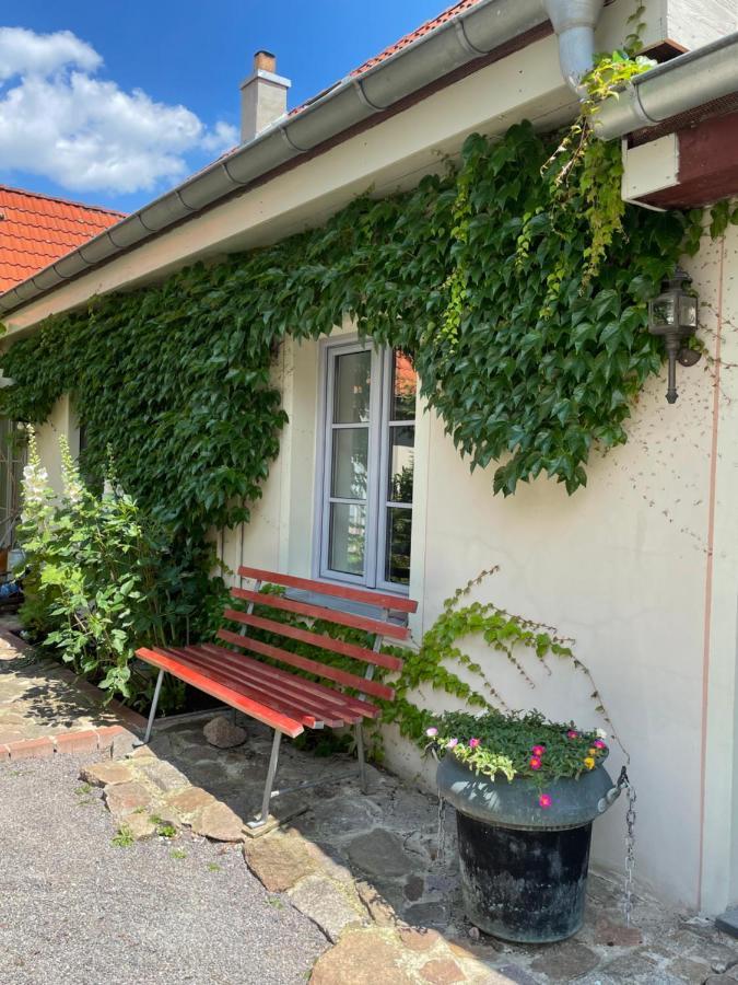 Fewo Im Kneipenviertel Altkoetzschenbroda Radebeul Exterior foto